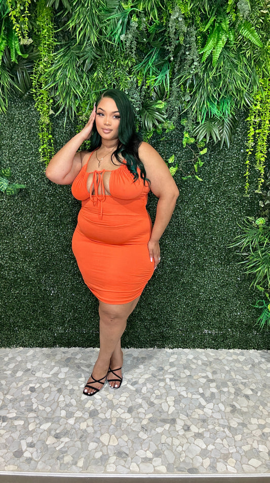Alani Ruched Orange Dress - Plus Size